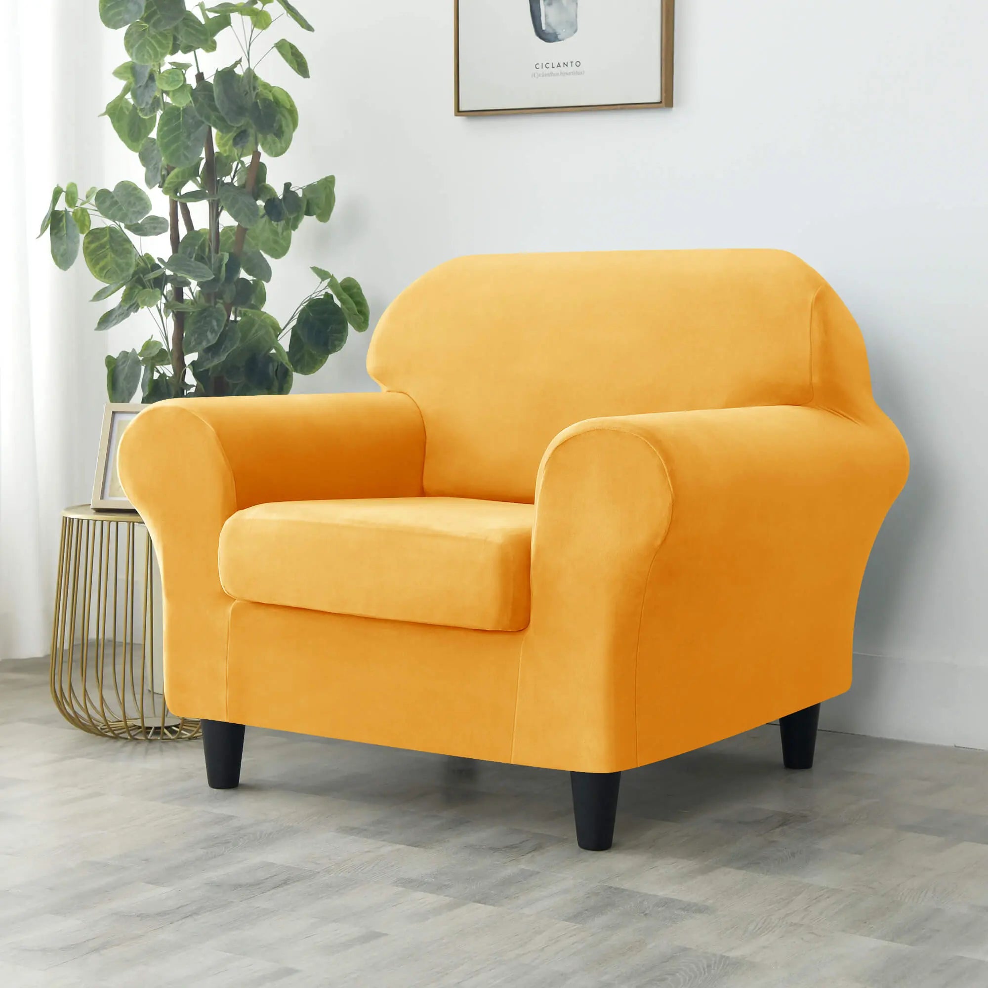 Box cushion couch deals